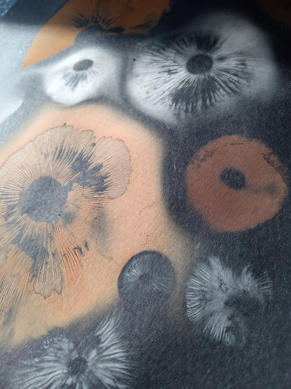 Spore Print #1072- Portland, OR