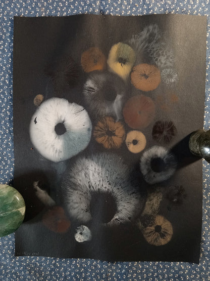Spore Print #1073- Portland, OR