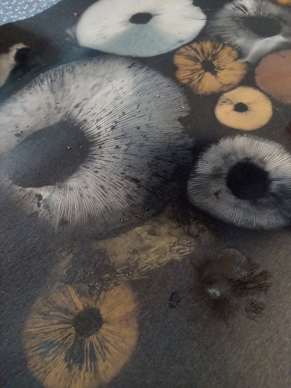 Spore Print #1073- Portland, OR