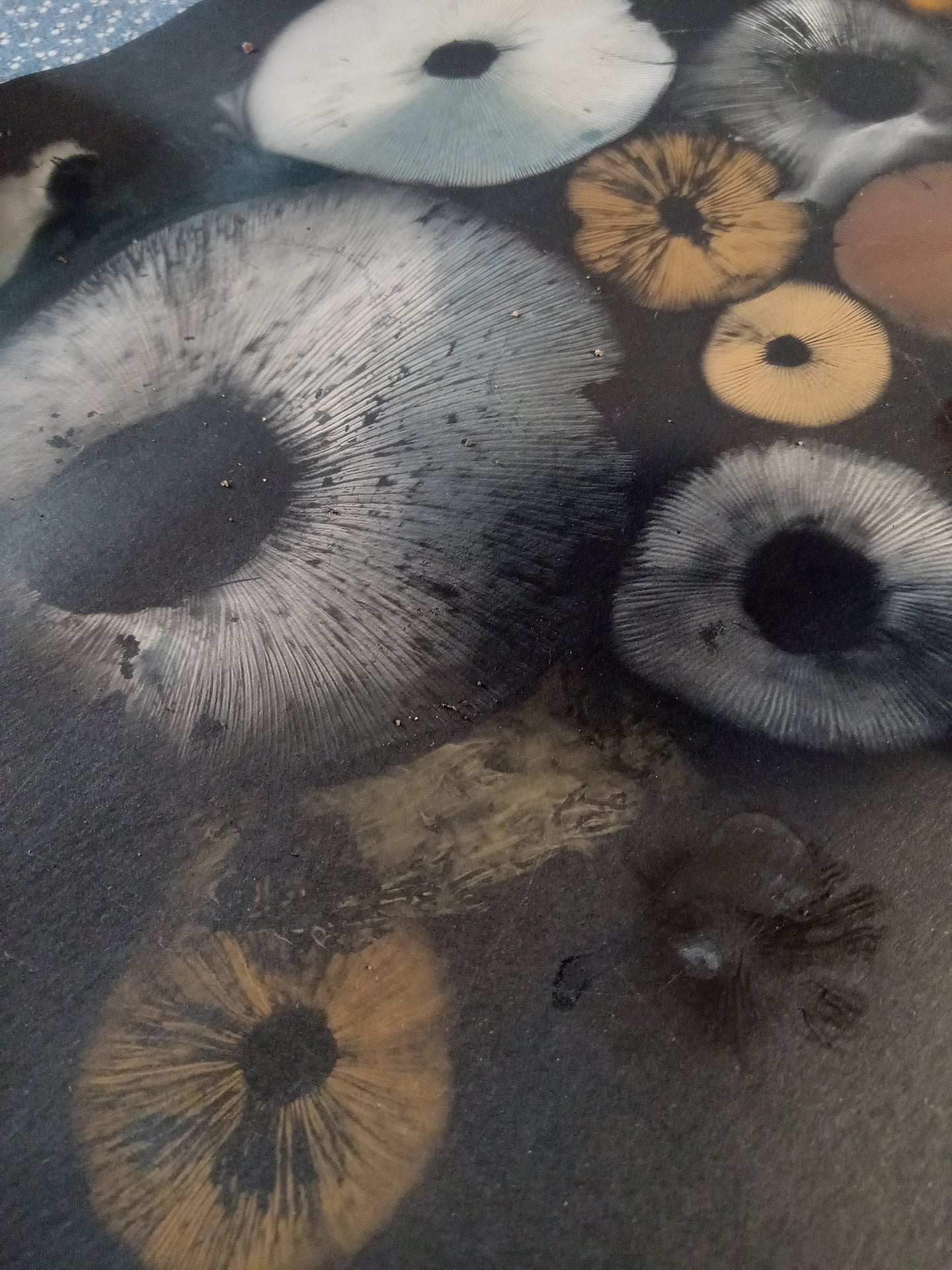 Spore Print #1073- Portland, OR