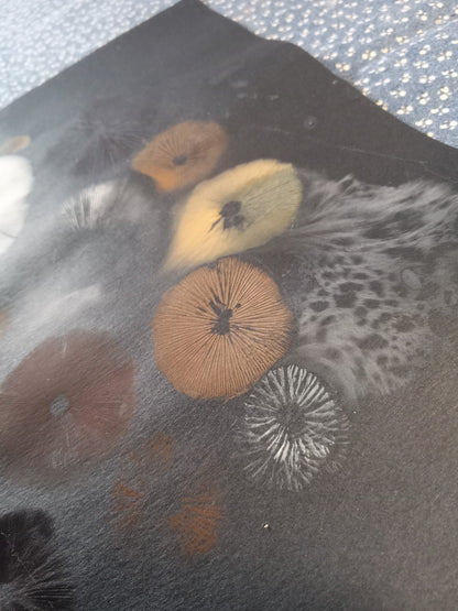 Spore Print #1073- Portland, OR