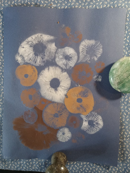 Spore Print #1074- Portland, OR