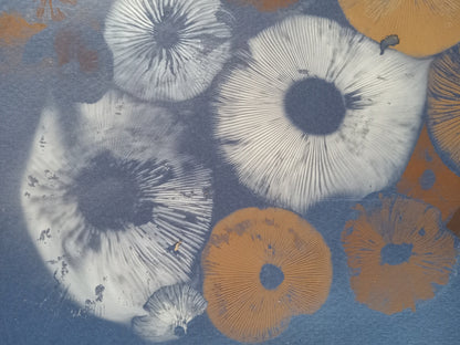 Spore Print #1074- Portland, OR