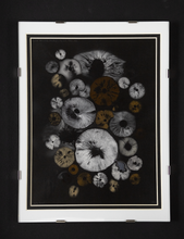 Load image into Gallery viewer, Spore Print #1012 - Skilak Lake, Alaska