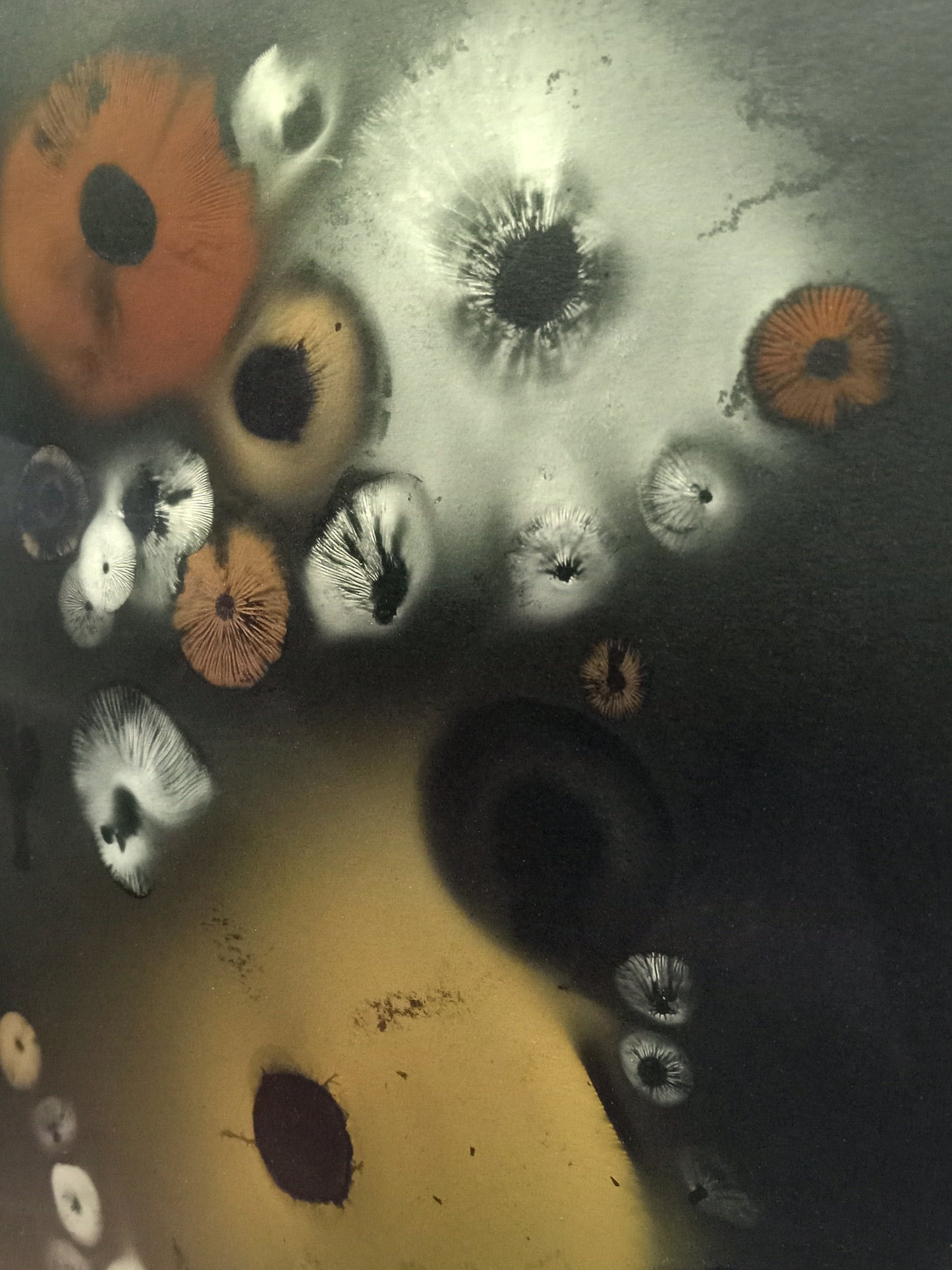 Spore Print #1019 - Skilak Lake, Alaska