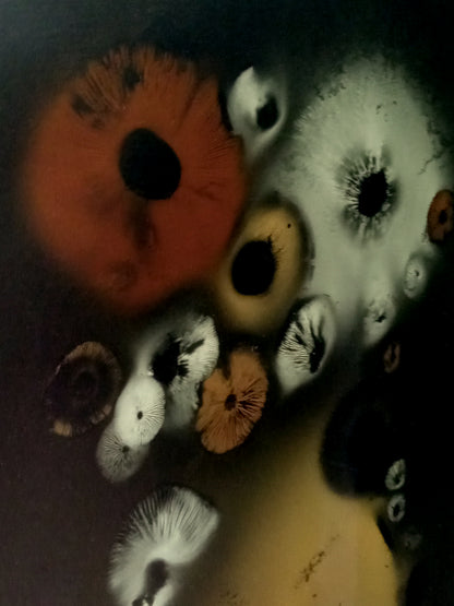 Spore Print #1019 - Skilak Lake, Alaska