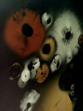 Load image into Gallery viewer, Spore Print #1019 - Skilak Lake, Alaska