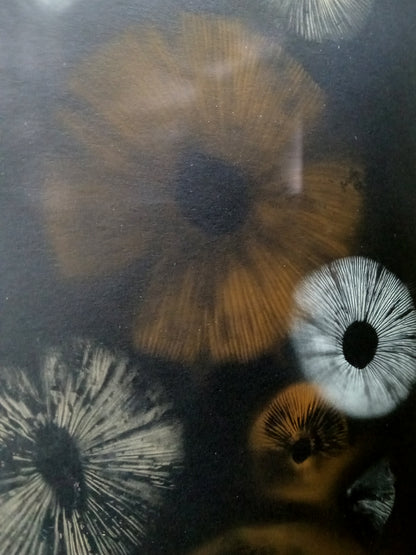 Spore Print #1014 - Skilak Lake, Alaska