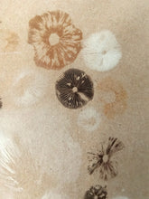 Load image into Gallery viewer, Spore Print #1017 - Skilak Lake, Alaska