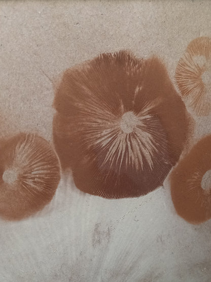 Spore Print #1023 - Skilak Lake, Alaska
