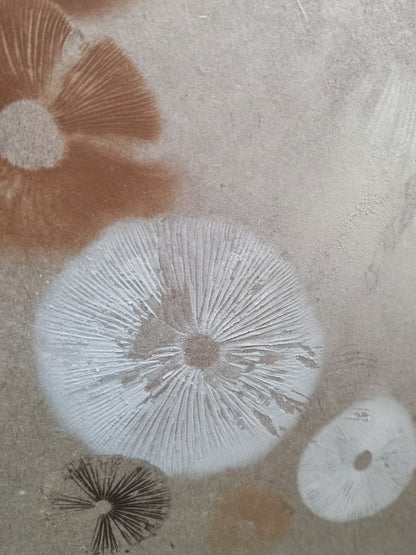 Spore Print #1023 - Skilak Lake, Alaska