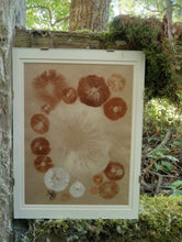 Load image into Gallery viewer, Spore Print #1023 - Skilak Lake, Alaska