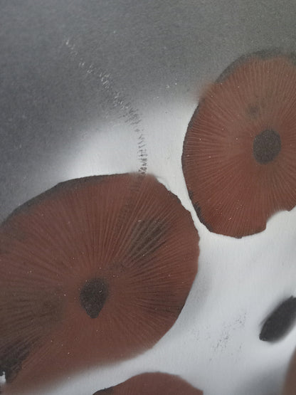 Spore Print #939 - Skilak Lake, Alaska