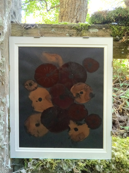 Spore Print #1021- Skilak Lake, Alaska