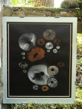 Load image into Gallery viewer, Spore Print #1020 - Skilak Lake, Alaska