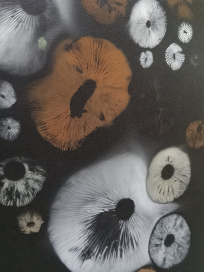 Spore Print #1020 - Skilak Lake, Alaska