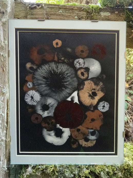 Spore Print #1015 - Skilak Lake, Alaska