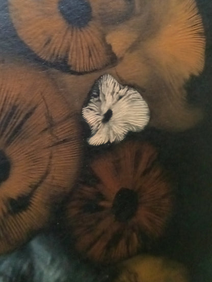 Spore Print #1016 - Skilak Lake, Alaska
