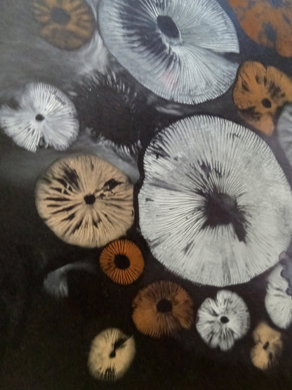 Spore Print #937 - Skilak Lake, Alaska