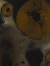 Load image into Gallery viewer, Spore Print #1013 - Skilak Lake, Alaska