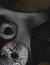 Load image into Gallery viewer, Spore Print #1013 - Skilak Lake, Alaska