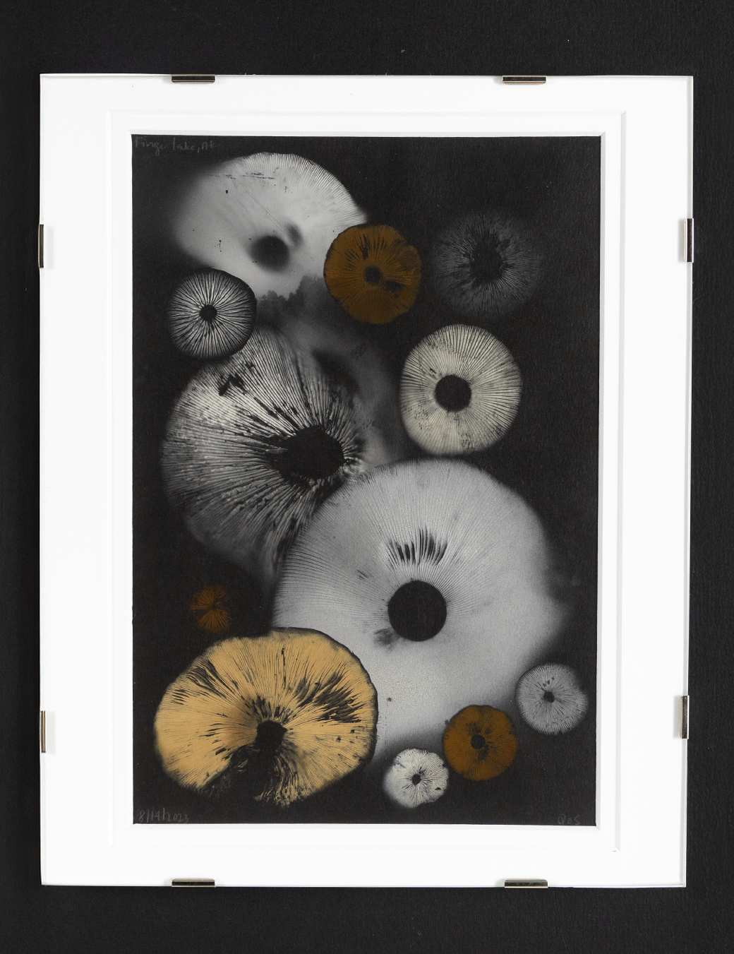 Spore Print #814- Finger Lake, Alaska 2023