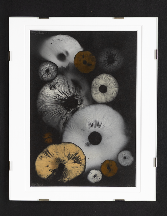 Spore Print #814- Finger Lake, Alaska 2023