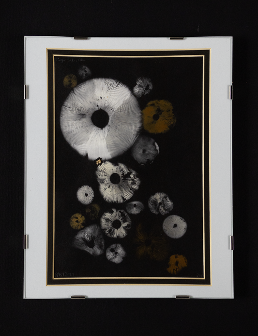 Spore Print #955 -Finger Lake, Alaska 2023