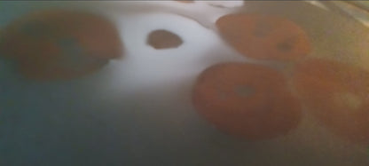 Spore Print #939 - Skilak Lake, Alaska