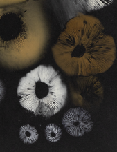 Load image into Gallery viewer, Spore Print #1011 - Skilak Lake, Alaska