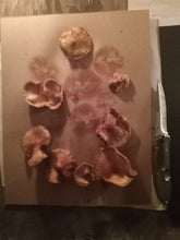 Load image into Gallery viewer, Spore Print #1022 - Skilak Lake, Alaska