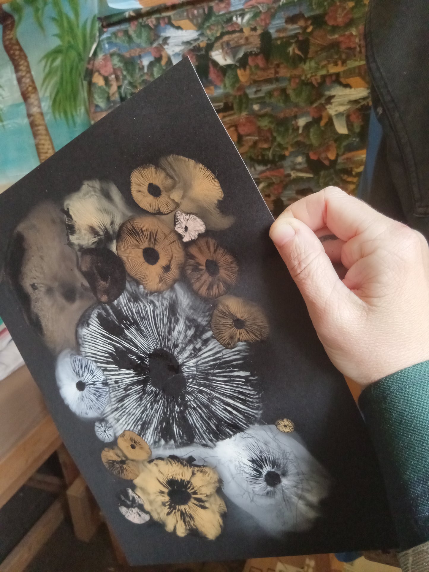 Spore Print #1016 - Skilak Lake, Alaska