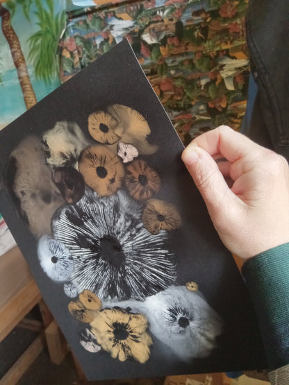 Spore Print #1016 - Skilak Lake, Alaska