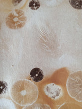 Load image into Gallery viewer, Spore Print #1017 - Skilak Lake, Alaska