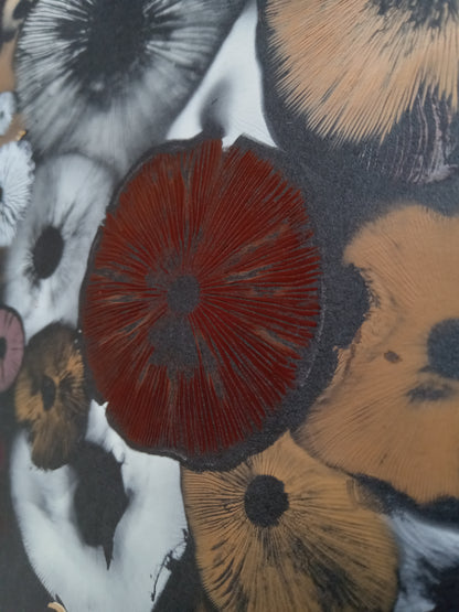 Spore Print #1015 - Skilak Lake, Alaska